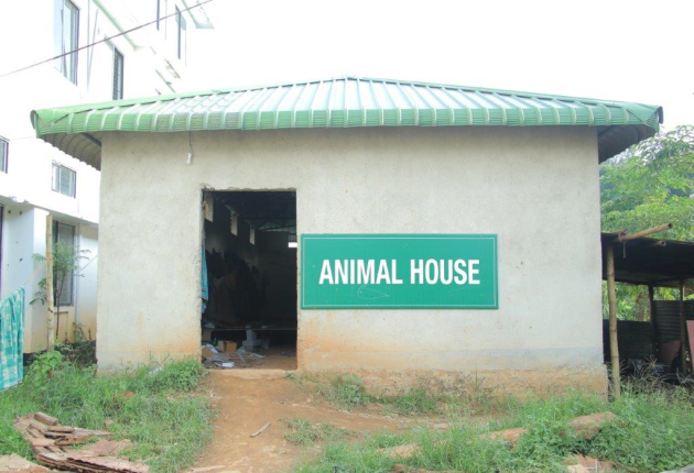 Animal House